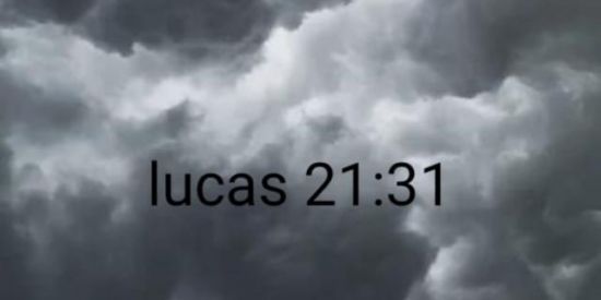 Imagem do grupo de WhatsApp O Rei está posto à raiz