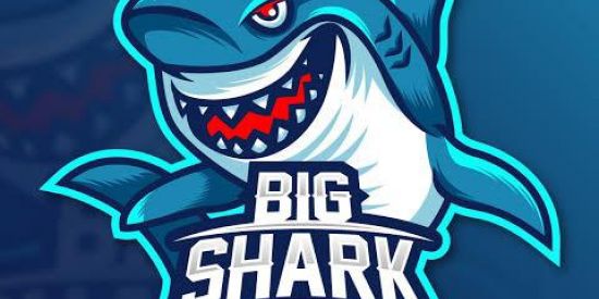 Imagem do grupo de WhatsApp Ofcbigshark