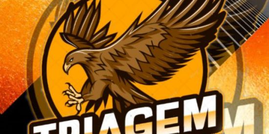 Imagem do grupo de WhatsApp 『🔥』|•TRIAGEM BNL•|『🔥』