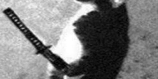 Imagem do grupo de WhatsApp ꧁𝙊𝙨 𝙍𝙚𝙣𝙚𝙜𝙖𝙙𝙤𝙨 ꧂