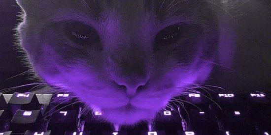 Imagem do grupo de WhatsApp ⚔️🥋 • 𝐩𝐡𝐳 𝐯𝐞𝐧𝐝𝐚𝐳𝐳𝐱 • 🥋⚔️