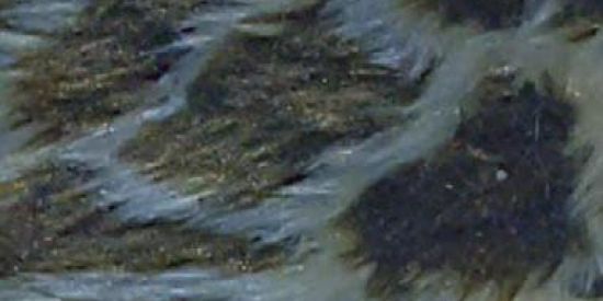 Imagem do grupo de WhatsApp Sequelados