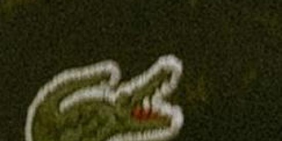 Imagem do grupo de WhatsApp Web namoro❤️