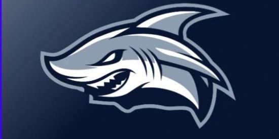 Imagem do grupo de WhatsApp 𝑭𝑳𝑨𝑲⃝ 🇨🇦 2° Comando