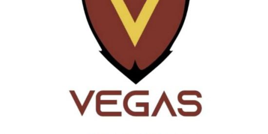 Imagem do grupo de WhatsApp VEGAS WORLD 🌎