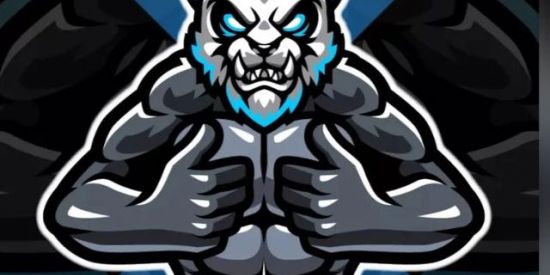 Imagem do grupo de WhatsApp RECRUTAMENTO TEAM 157