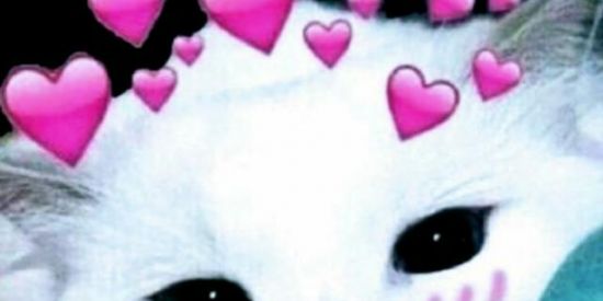 Imagem do grupo de WhatsApp 🏆AMIZADE🥇FIGURINHAS🎗️3.0🎗️