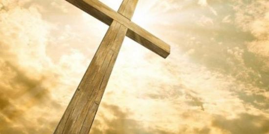 Imagem do grupo de WhatsApp Seleção para o grupo oficial