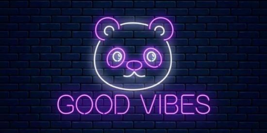 Imagem do grupo de WhatsApp 💛 Grupo de seguidores 💛