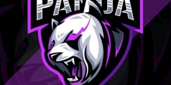 Imagem do grupo de WhatsApp E¹ |♚ρ∂’α♚| ραи∂α💜