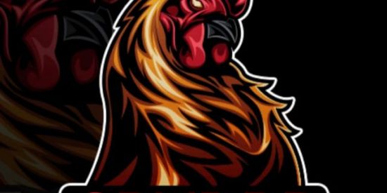 Imagem do grupo de WhatsApp SPVDBR