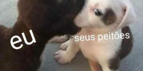 Imagem do grupo de WhatsApp NAMORO $2 #linknabio 1