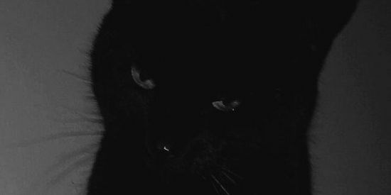 Imagem do grupo de WhatsApp ᖇᗴᒪᗩTOՏ 𝔪𝔞𝔠𝔞𝔟𝔯𝔬𝔰