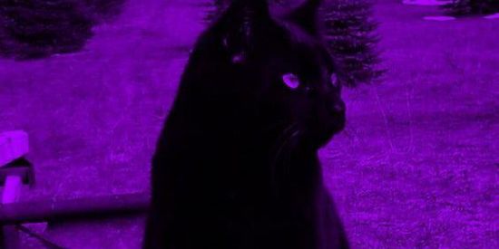 Imagem do grupo de WhatsApp ❤️😈𝗗𝗔𝗧𝗜𝗡𝗚 𝗪𝗜𝗧𝗛 𝗠𝗘 𝗕𝗔𝗘😈❤️