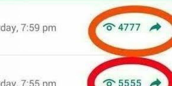 Imagem do grupo de WhatsApp ⚠️|• DIVULGAÇÕES DE CONTATO