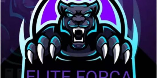 Imagem do grupo de WhatsApp grupo da ELITE FORÇA ADM