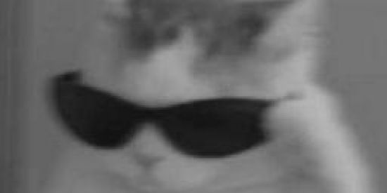 Imagem do grupo de WhatsApp 100% online 👀