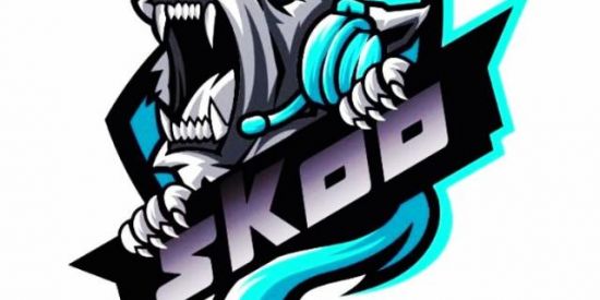 Imagem do grupo de WhatsApp Teste/skyeskoo e-sports