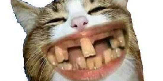 Imagem do grupo de WhatsApp 🤣 𝐄𝐍𝐆𝐑𝐀Ç𝐀𝐃𝐀𝐒 𝐀𝐌𝐈𝐙𝐀𝐃𝐄S