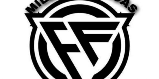 Imagem do grupo de WhatsApp FF CONTAS 100% Seguras 🚀