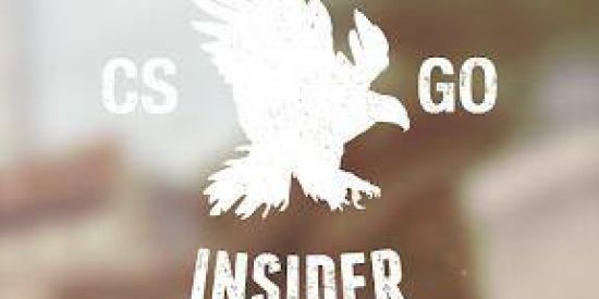 Imagem do grupo de WhatsApp CSGO Insider