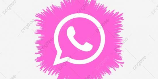 Imagem do grupo de WhatsApp Visualizaçãos no status