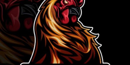 Imagem do grupo de WhatsApp CELTÍCS HALL