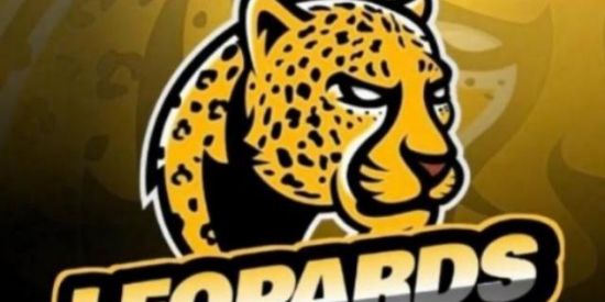 Imagem do grupo de WhatsApp 💫Triagem ♔ρℓ♔ 💫