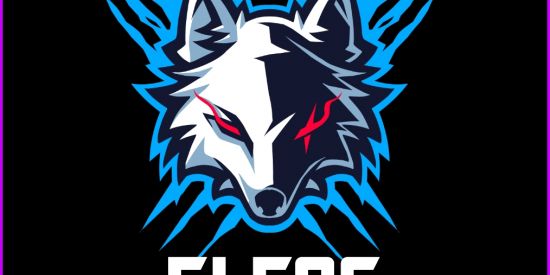 Imagem do grupo de WhatsApp ELFAS ELF FF QUILD