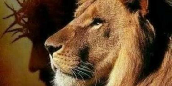 Imagem do grupo de WhatsApp Tudo sobre Yeshua🔥✝️❤️