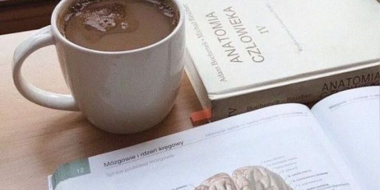 Imagem do grupo de WhatsApp Venha desabafar!