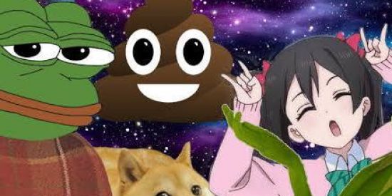 Imagem do grupo de WhatsApp 🌲💥SHITPOST BR💥🌲