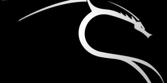 Imagem do grupo de WhatsApp KALI LINUX 🖥