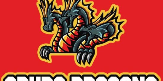 Imagem do grupo de WhatsApp ➀➄⚔️•|Gʀᴜᴘᴏ Dʀᴀɢᴏɴs|•🤍