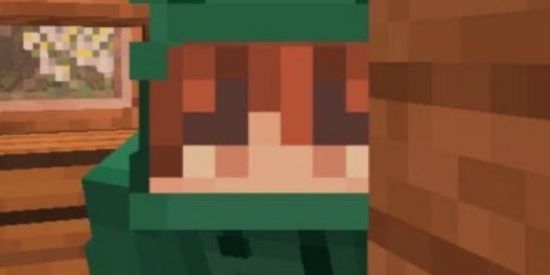 Imagem do grupo de WhatsApp 𝐌𝐢𝐧𝐞𝐜𝐫𝐚𝐟𝐭