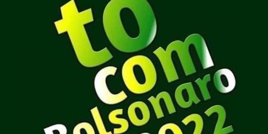 Imagem do grupo de WhatsApp Pátria conservadora