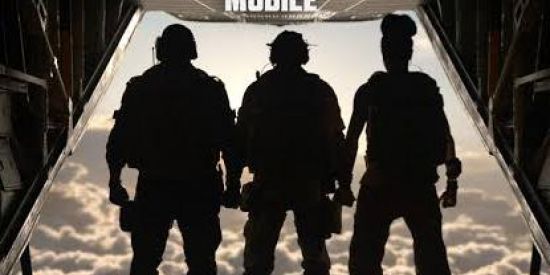 Imagem do grupo de WhatsApp ♦️Warzone Mobile♦️