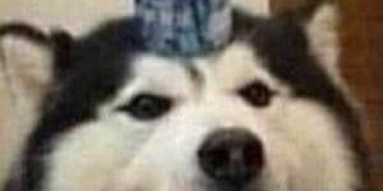 Imagem do grupo de WhatsApp Esquizofrenia 1.0