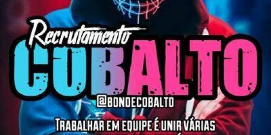 Imagem do grupo de WhatsApp 🦋|•RECRUTA〽️ENTO CBS