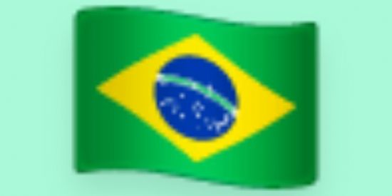 Imagem do grupo de WhatsApp ELEIÇÕES 2022 🇧🇷