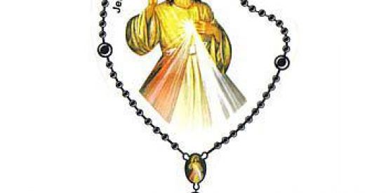 Imagem do grupo de WhatsApp Terço da Misericórdia