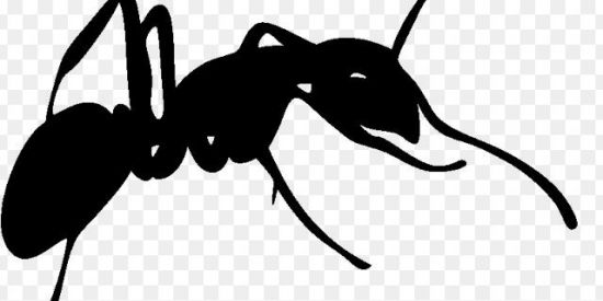 Imagem do grupo de WhatsApp GRUPO APOIO AO MITO💚❤️🇧🇷