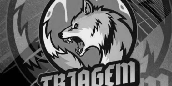 Imagem do grupo de WhatsApp TRIAGEM BLACK🖤