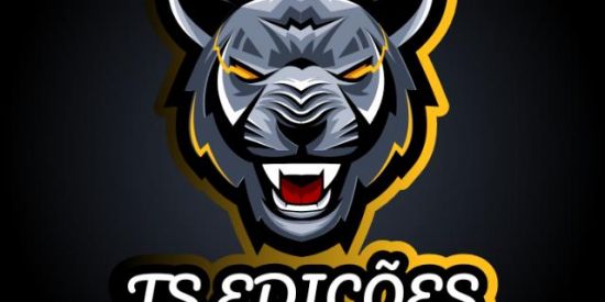 Imagem do grupo de WhatsApp TS Edições