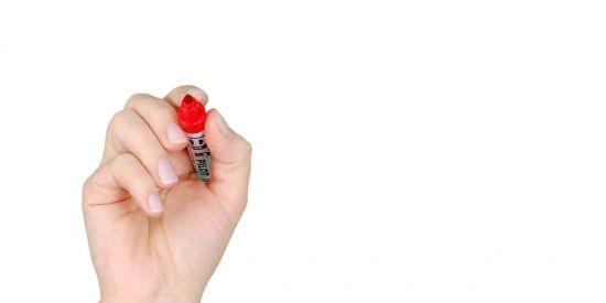 Imagem do grupo de WhatsApp Wall Street