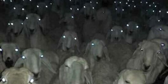 Imagem do grupo de WhatsApp AS_LENDA