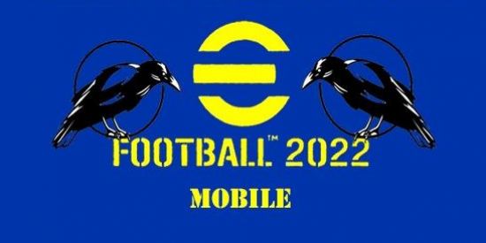 Imagem do grupo de WhatsApp TOURNAMENT IRA 🏆