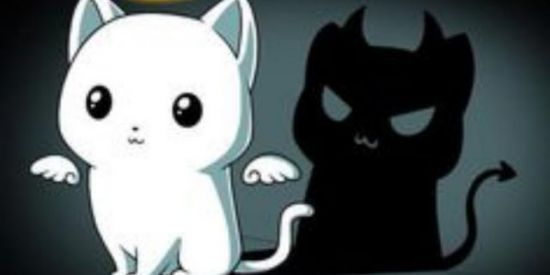 Imagem do grupo de WhatsApp VENDAS DO BIEL