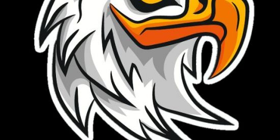 Imagem do grupo de WhatsApp UP   NORDESTE