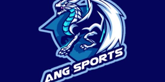 Imagem do grupo de WhatsApp RECRUTAMENTO ANG SPORTS